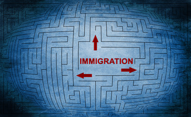 maze of immigration